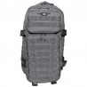 US Rucksack, Assault I