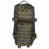 US Rucksack, Assault I