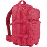 US Rucksack, Assault I