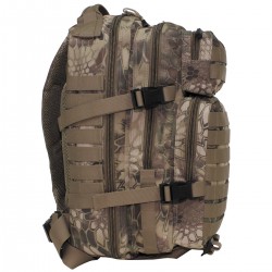US Rucksack, Assault I