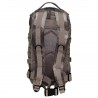 US Rucksack, Assault I