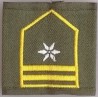 Dienstgradschlaufe Fähnrich