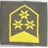 Dienstgradschlaufe Oberst